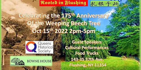 Rooted In Flushing: Celebrating 175 Years of the Weeping Beech Tree