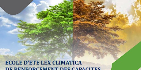 Cours d'été sur "le changement climatique et le droit international"