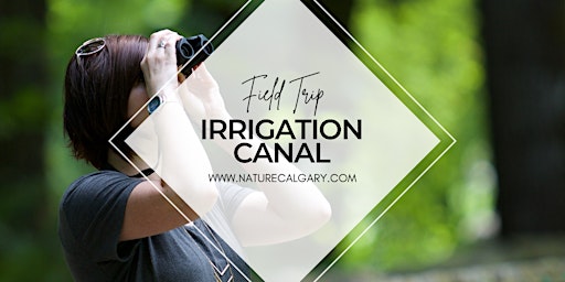 Nature Calgary Birding - WID Irrigation Canal