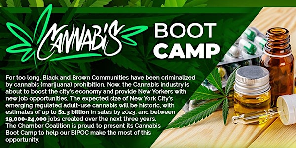 Cannabis Boot Camp