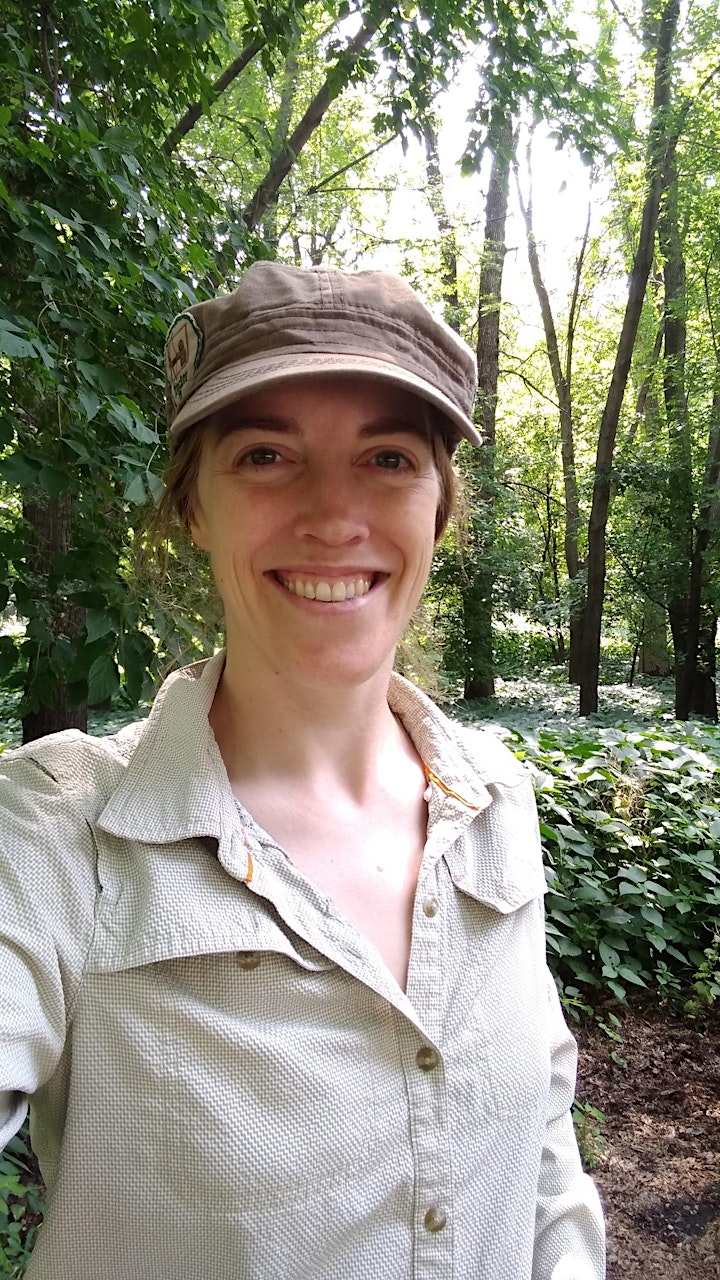 Guided Forest Bathing at Cedar Creek Ecosystem Science Reserve image