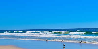 Passport to Parks: Jones Beach State Park, $4 per person upon arrival primary image