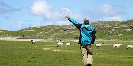 "The Lost Valley" of County Mayo with Gerard Bourke