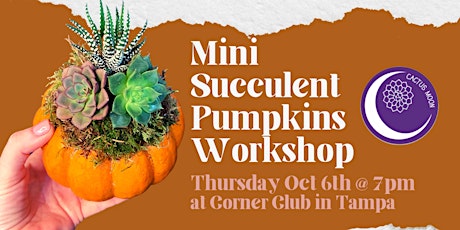 'Lil Succulent Pumpkins Workshop at Corner Club