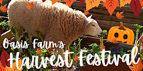 Harvest Festival at Oasis Farm Waterloo