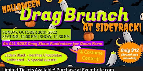 Halloween Drag Brunch at Sidetrack: A fundraiser for Dawn Farm