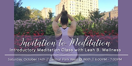 Renew Living Presents Sunset Meditation with Leah B Wellness primary image