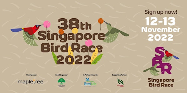 38th Singapore Bird Race 2022