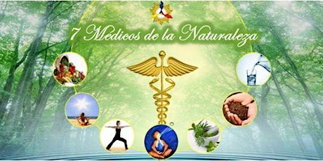 Imagen principal de Los siete medicos de la naturaleza