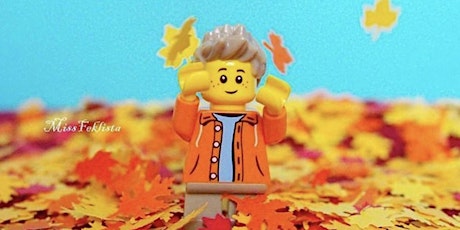 Autumn LEGO® Exhibition - Dungannon