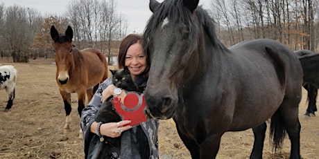 Horses and Healing: Equine Assisted Activities in Psychotherapy