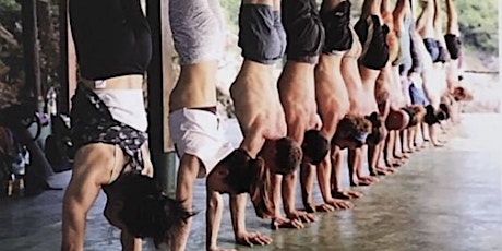 Introduction To Handstand