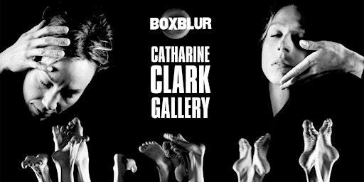 BOXBLUR at Catharine Clark Gallery–Experimental Shorts | 2022 SFDFF