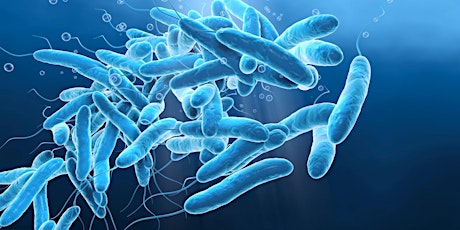 Legionella - causes and mitigations in Domestic Water systems