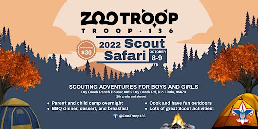 2022 Scout Safari