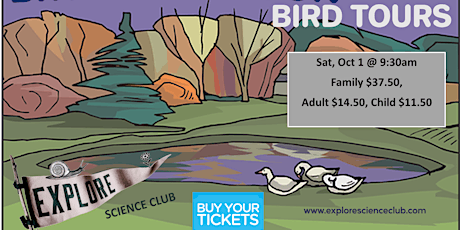 Bird Tour of Brydon Lagoon