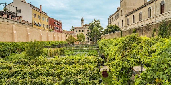 Venezia, la vite, il vino e la bellezza dei luoghi
