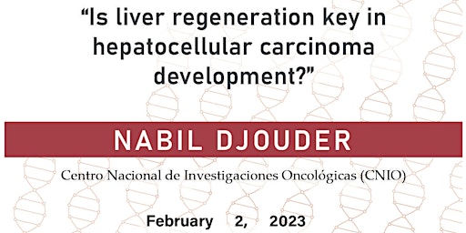 Is liver regeneration key in hepatocellular carcinoma development?