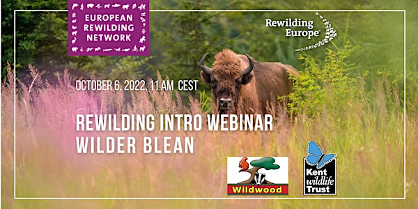 Rewilding Intro Webinar - European Rewilding Network presents Wilder Blean