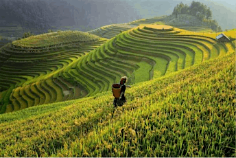 [Landscape Tours] Beautiful places in Vietnam