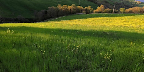 Immagine principale di Il Futuro dell'agricoltura tra filiere sostenibili e nuova pac 