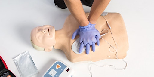 Adult Basic Life Support (BLS) primary image