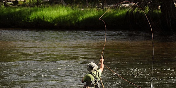 Fly Fishing at Rosehill Farm
