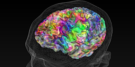 Hauptbild für New Webinars About the Brain and the Mind by Dr. Goldberg