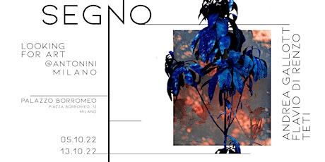 OPENING "SEGNO" / LOOKING FOR ART @ Antonini Milano - Palazzo Borromeo