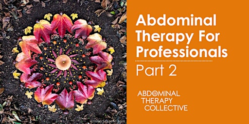 Abdominal Therapy for Professionals Part 2- ATP2 in Slovenia