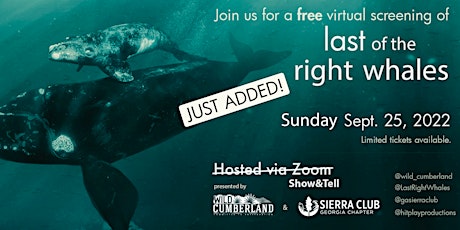 Virtual Screening: Last of the Right Whales Film