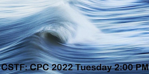 Is the tide coming in for renewable power generation at last?  CPC 2022