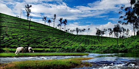 Best Honeymoon Trip to Munnar, Kerala primary image