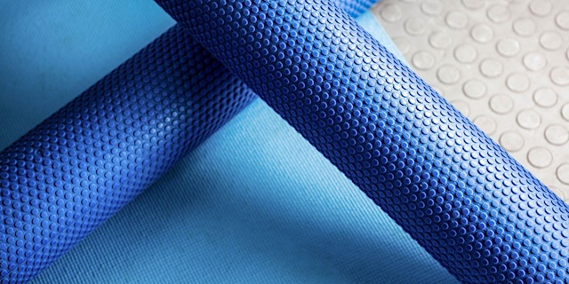 Image principale de Virtual Foam Roller Release with Mallory Holmes