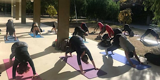 Yoga flow in the park - Open level class