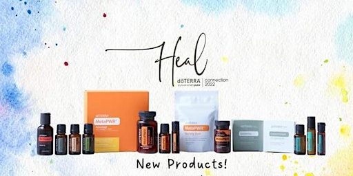 New Products Reveal!