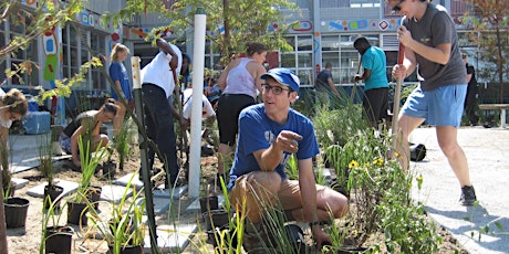 New Shiloh Rain Garden Community Build Day primary image