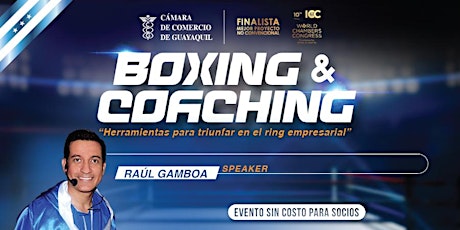 Imagen principal de Boxing & Coaching