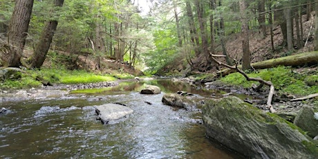 Dutchess County Watershed Roundtable primary image