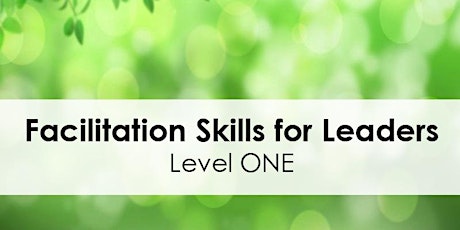 Facilitation Skills for Leaders, Level One primary image