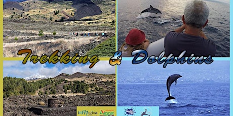Immagine principale di Trekking & Dolphins - Escursione a piedi e in gommone 