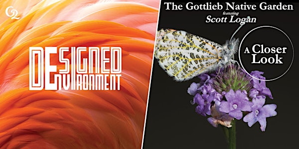 Opening Reception: The Gottlieb Native Garden & Designed Environment