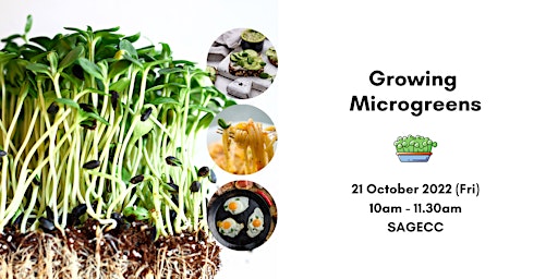 [SAGECC Physical Workshop] Growing Microgreens