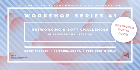 Networking & Soft Challenges in Professional Setting