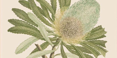 To Botany Bay and Back: The Worldwide Web of Sir Joseph Banks