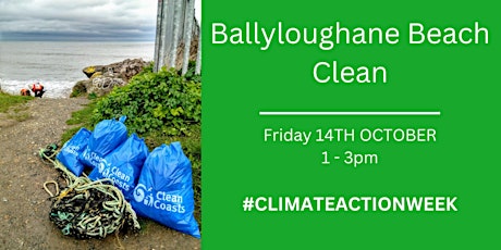 Beach Clean of Ballyloughane Beach as part of Climate Action Week