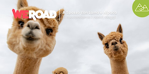 A Spasso con Lama e Alpaca| WeRoad ti racconta i suoi viaggi