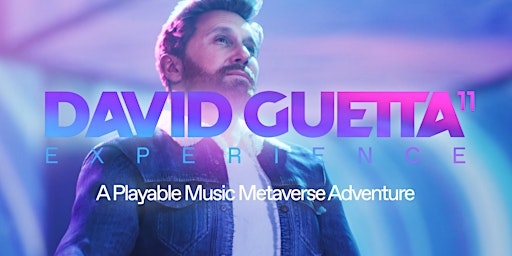 David Guetta Experience