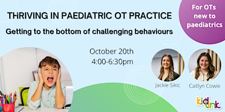 Paediatric OT Practice: Getting to the bottom of challenging behaviours