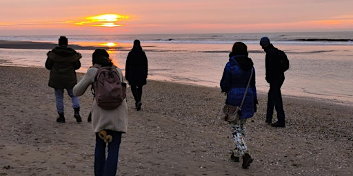 Imagem principal do evento Bosbaden / Shinrin-Yoku / Forest Bathing - Kennemerduinen en Strand